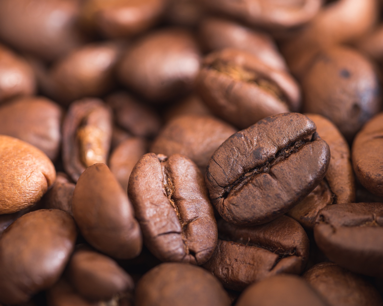 Крупные ароматные обжаренные кофейные зерна 