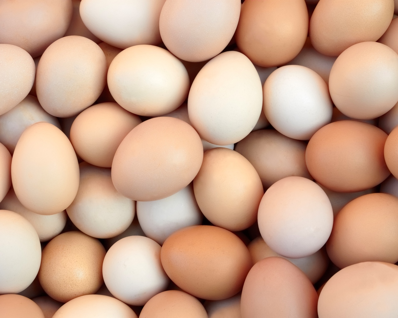 Много домашних яиц крупным планом