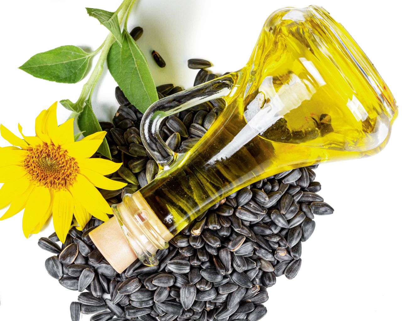 Подсолнечное масло с семечками и цветком