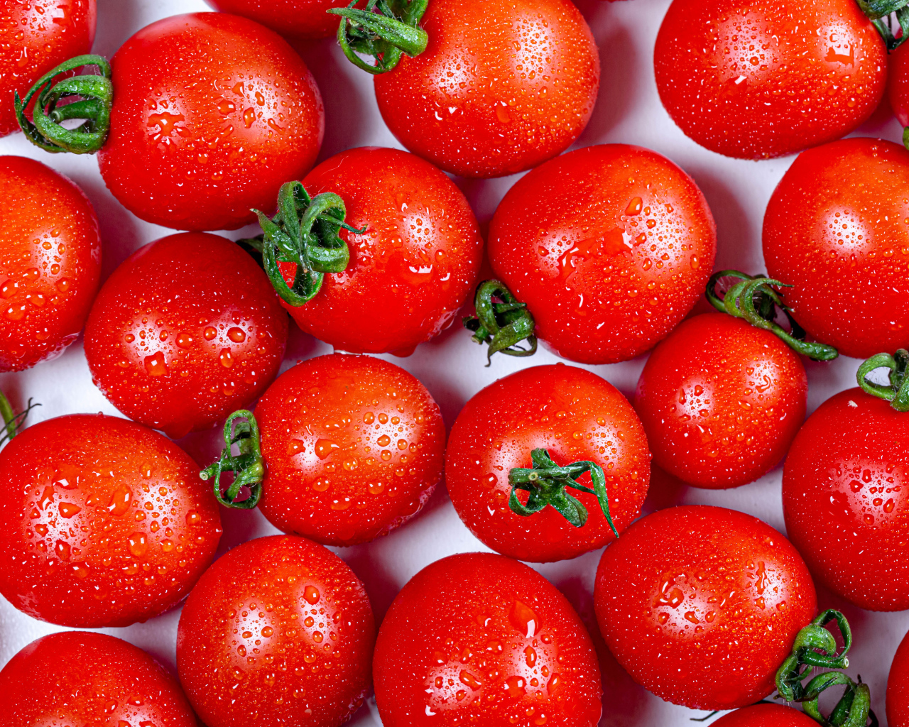 Мокрые красные помидоры крупным планом