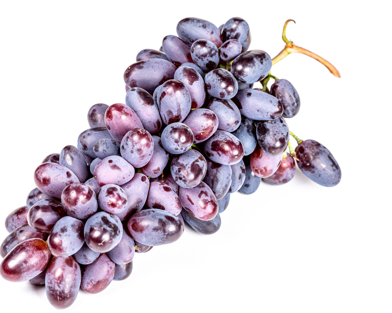 Гроздь синего винограда на белом фоне крупным планом