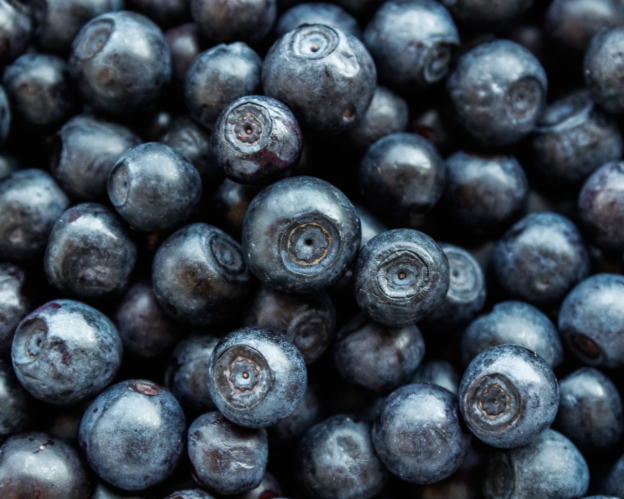 Ягоды черники крупным планом 
