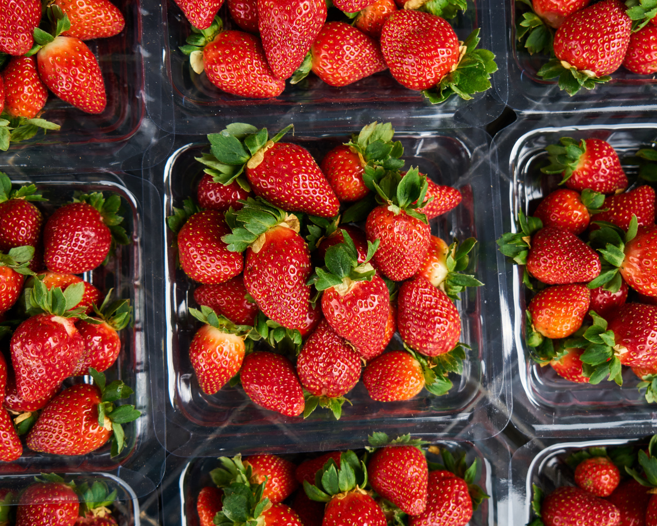 Много контейнеров со спелой сочной красной клубникой 