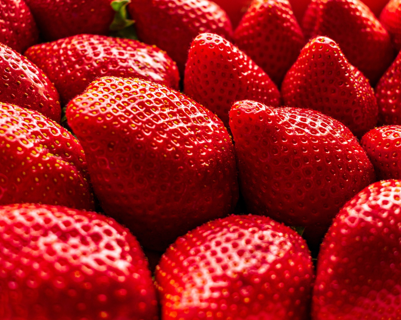 Lots of sweet ripe red strawberries close up