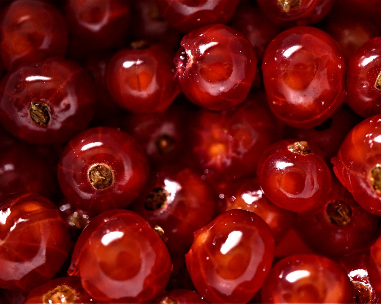 Спелые сочные ягоды красной смородины