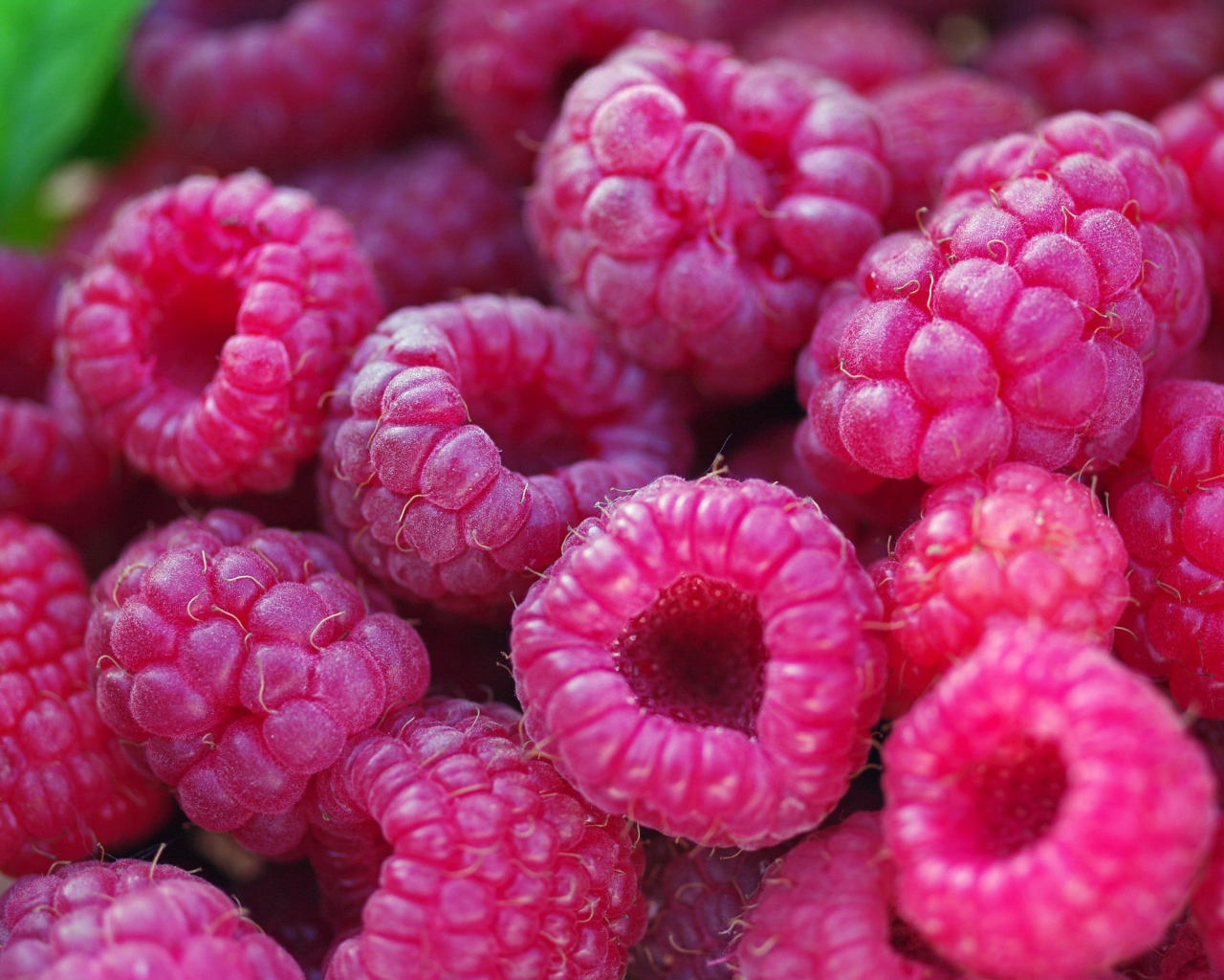 Спелые крупные ягоды малины 