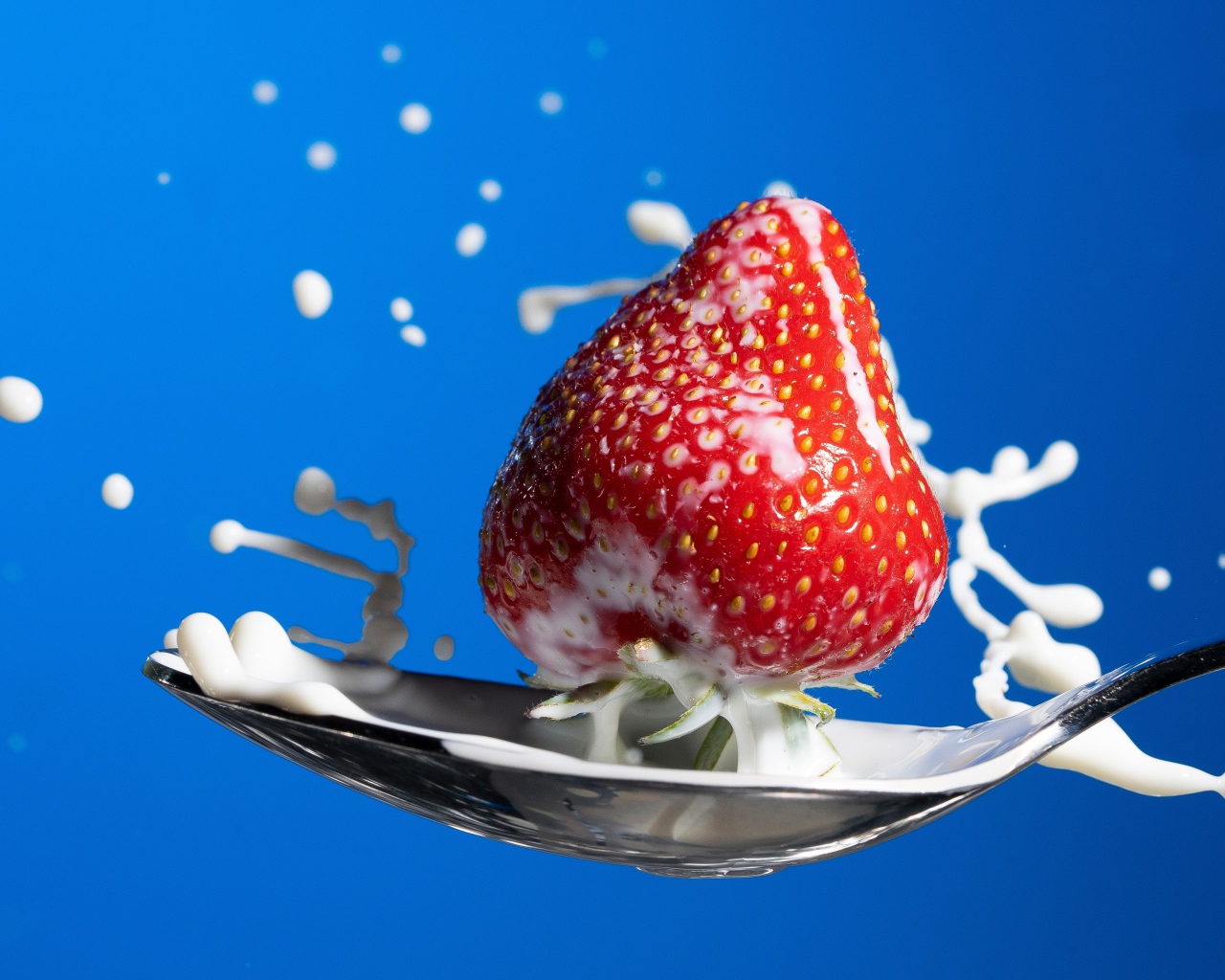 Спелая красная клубника в ложке молока на голубом фоне