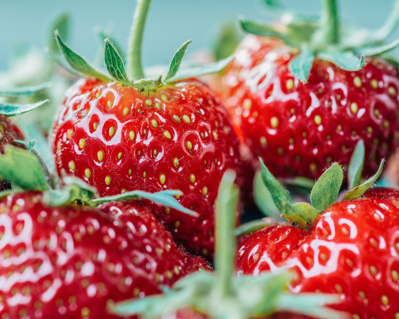 Ripe strawberries with green tails