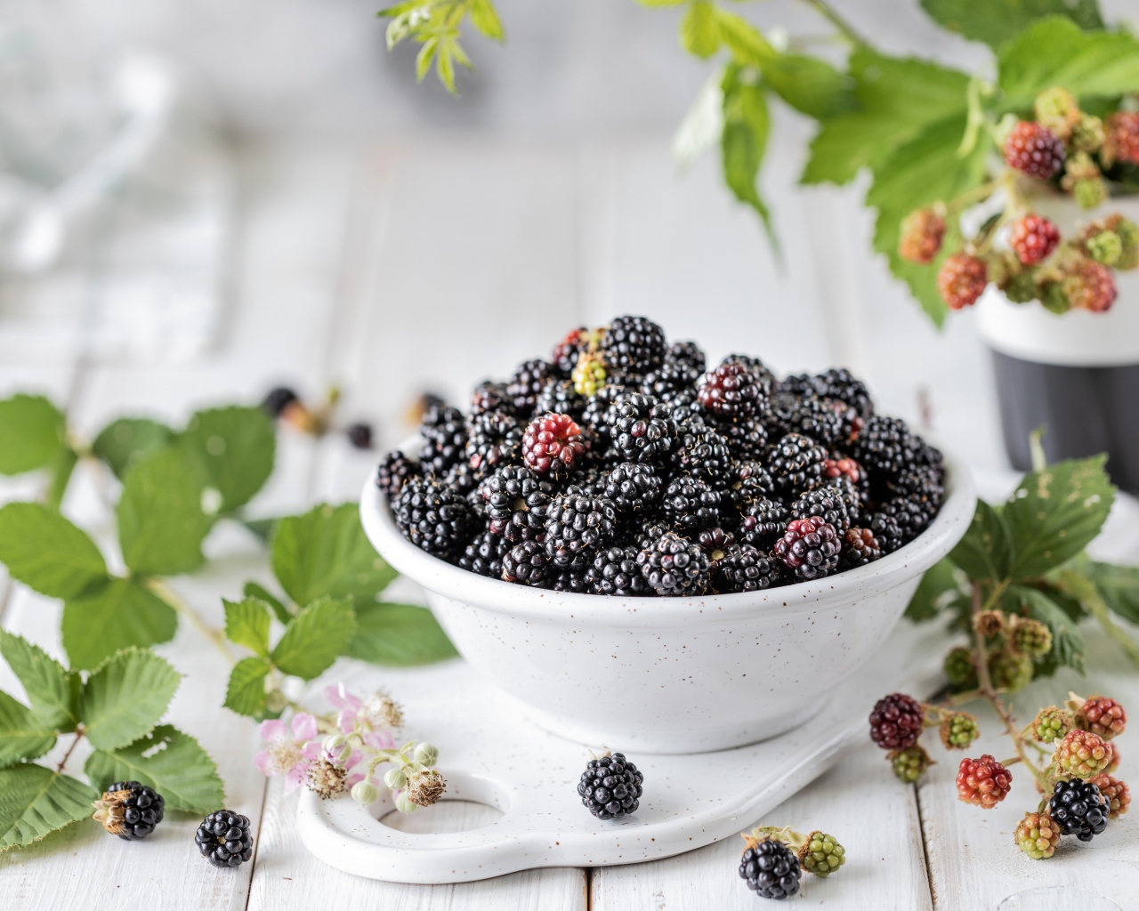 Вкусная ежевика на столе с ветками 