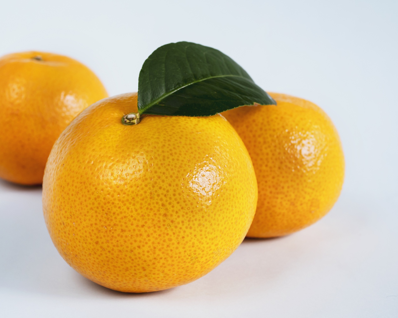 Three large ripe tangerines on a gray background