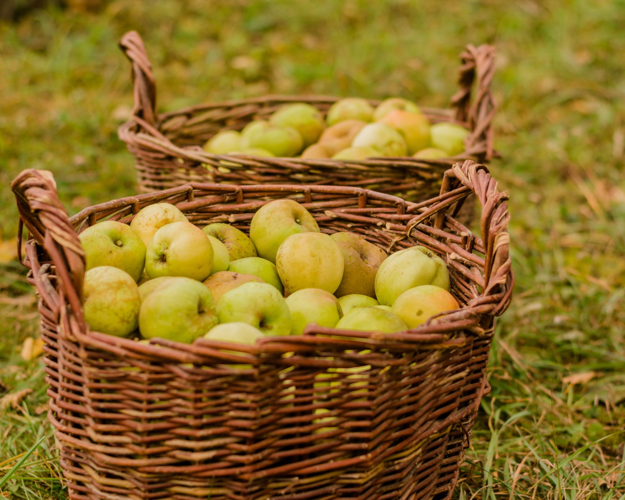 Две большие корзины с зелеными яблоками