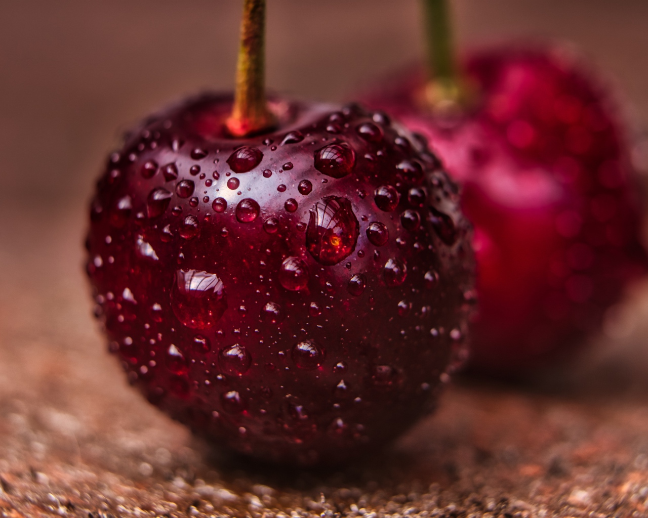 Две спелые красные черешни в каплях воды крупным планом 
