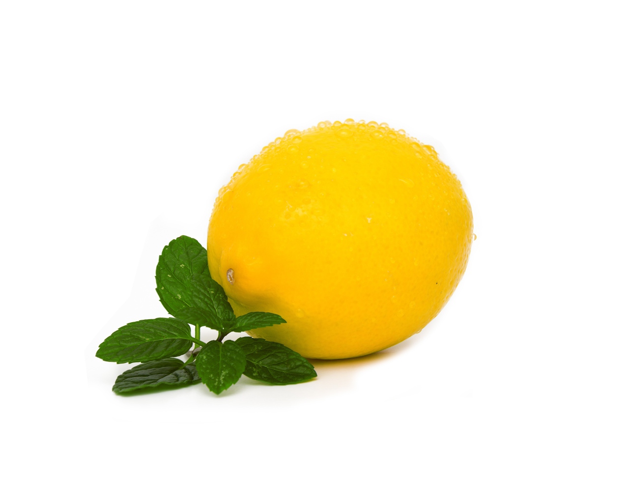 Мокрый лимон с мятой на белом фоне
