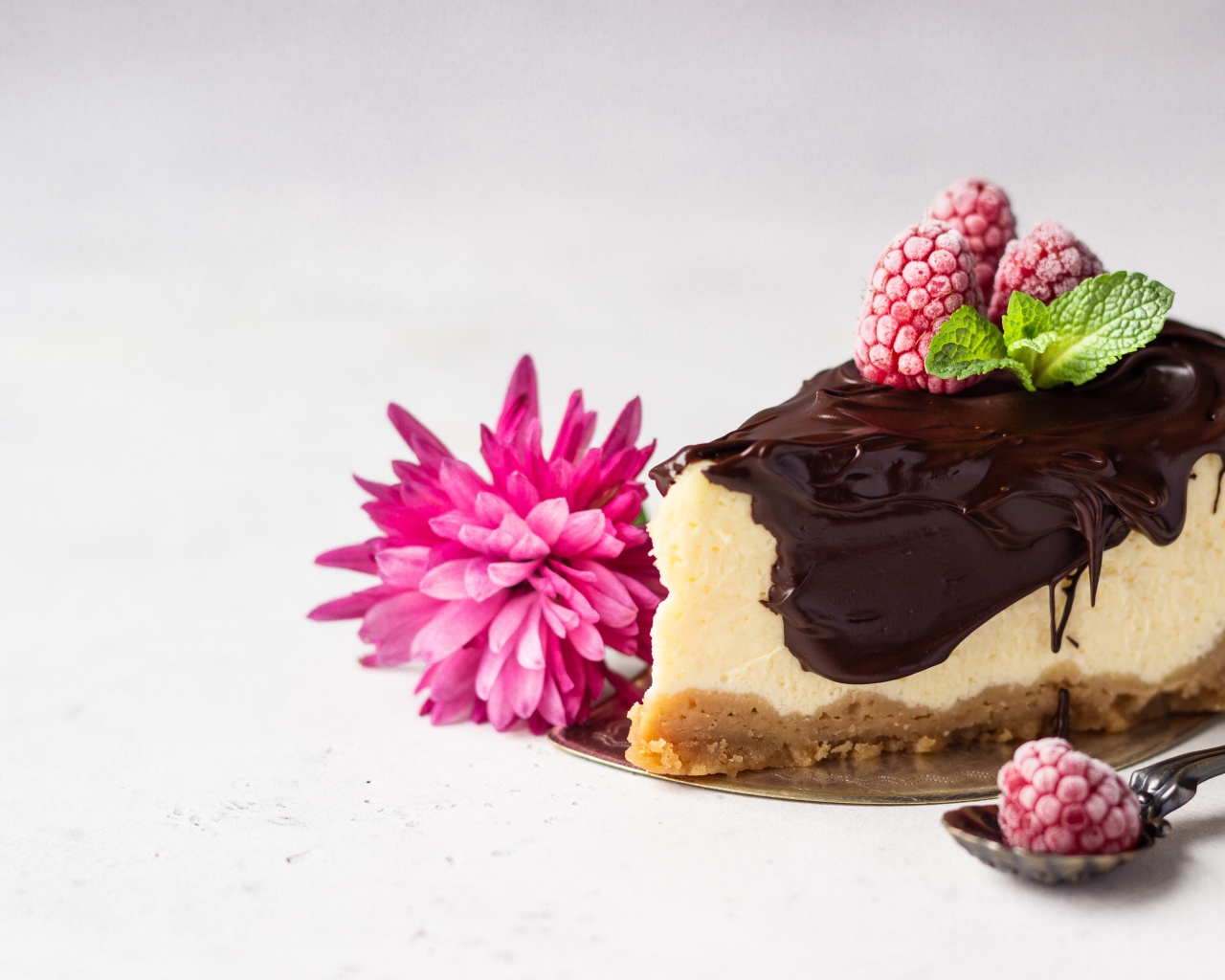 Кусок чизкейка с шоколадом на столе с малиной и цветком