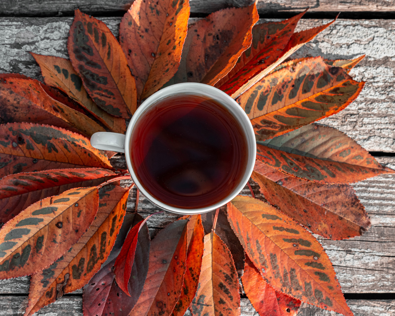 Чашка чая на столе с желтыми листьями