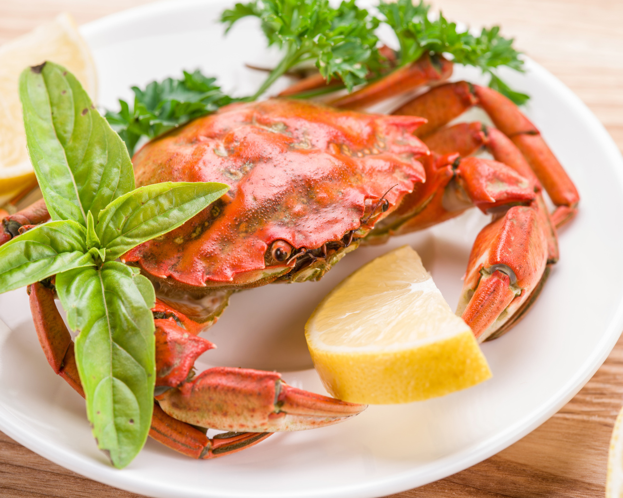 Cooked crab on a plate with lemon and herbs