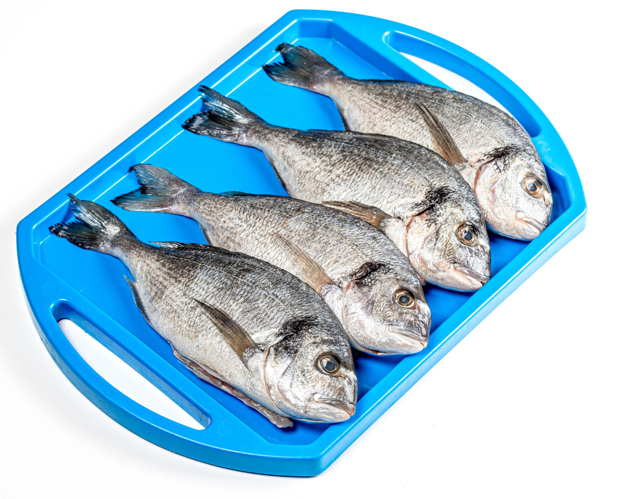 Свежая рыба на голубом подносе на белом фоне