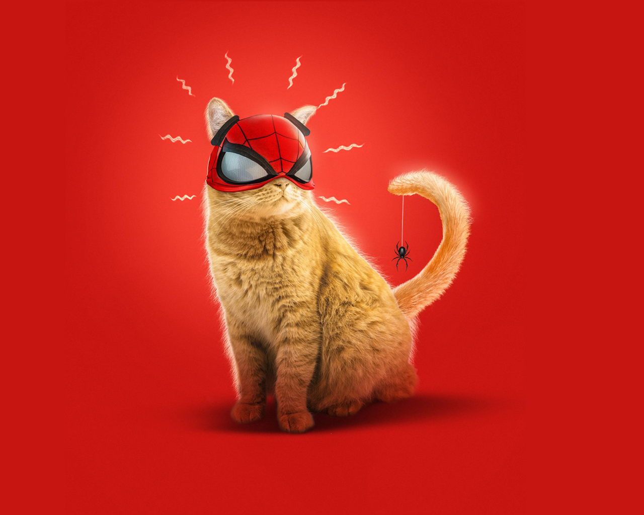 Рыжий кот в маске спайдермена на красном фоне