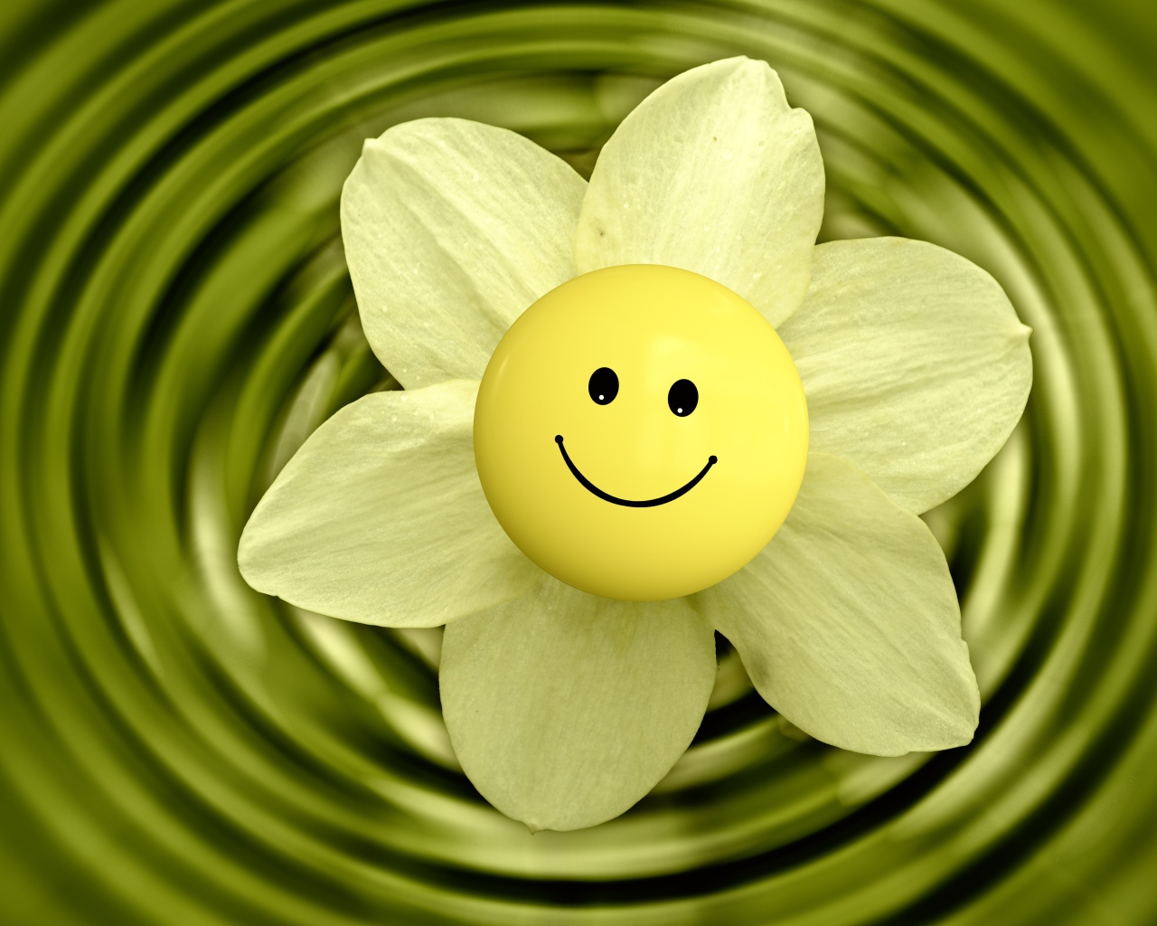 Цветок нарцисса со смайликом в воде 