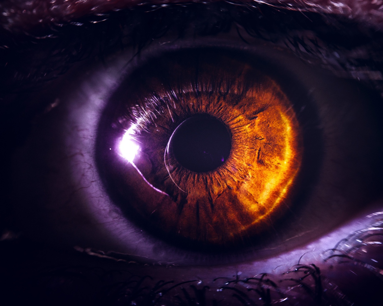 Карий глаз девушки крупным планом