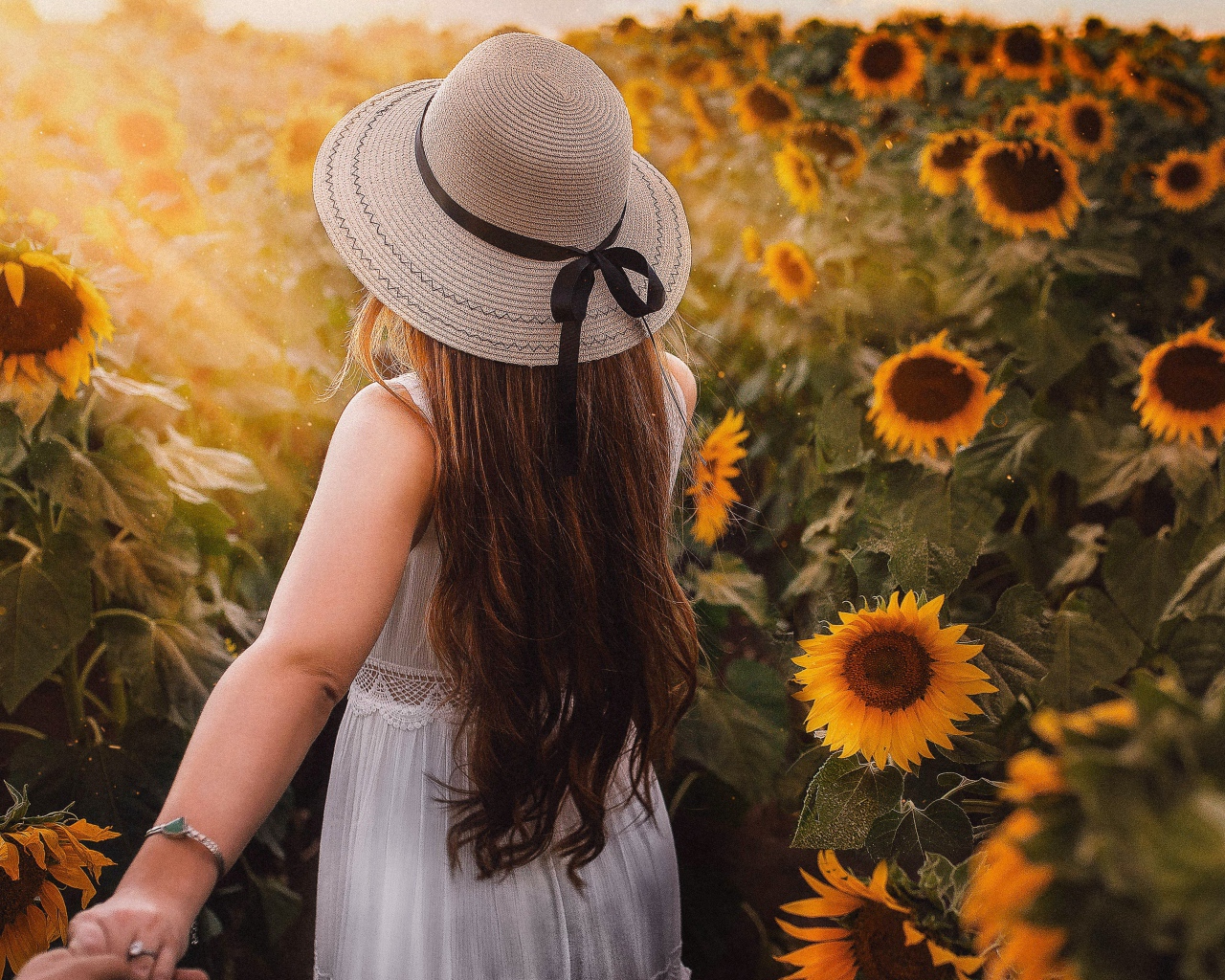 Девушка в белом платье и шляпе гуляет по полю с подсолнухами