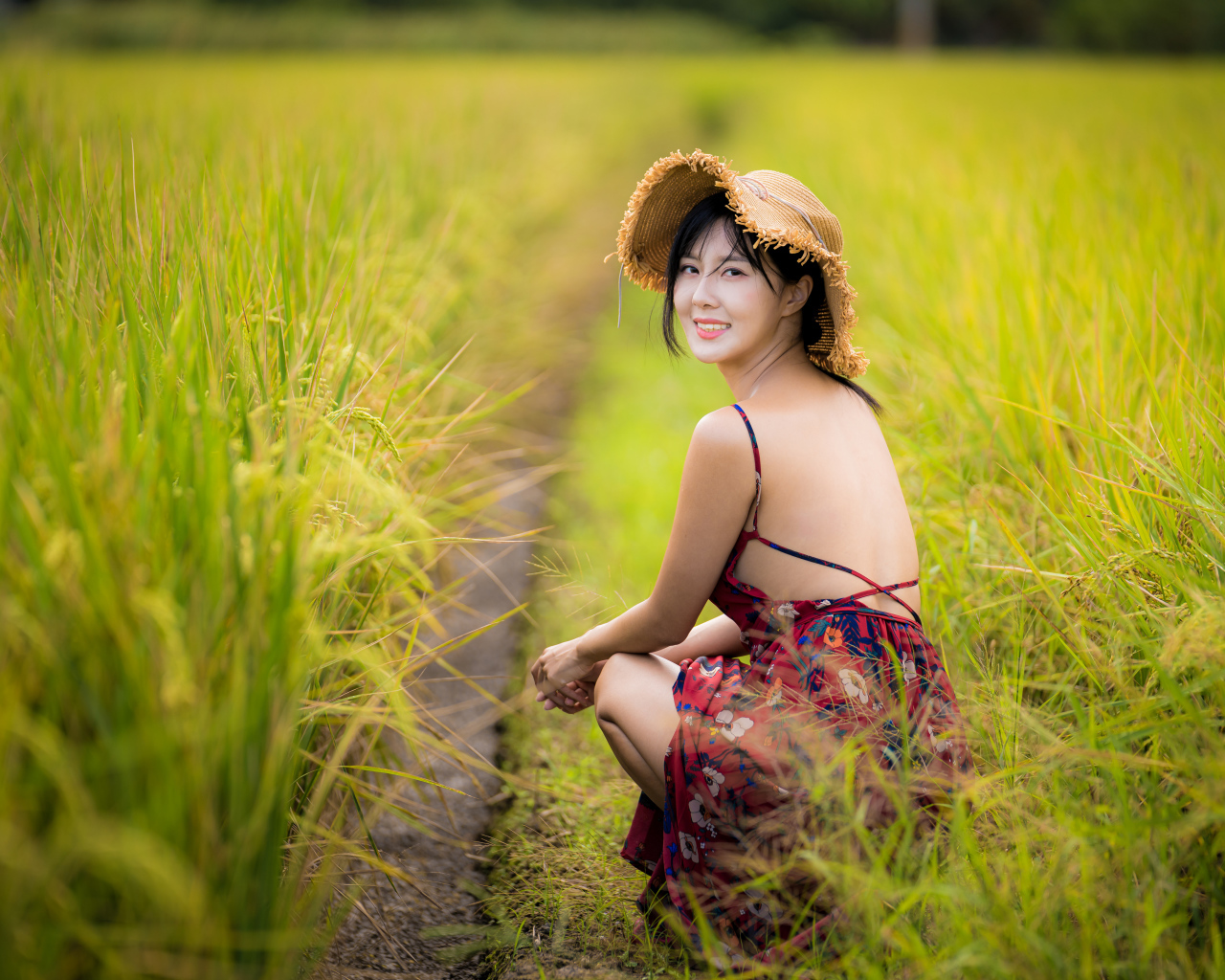 Девушка азиатка сидит на рисовом поле 