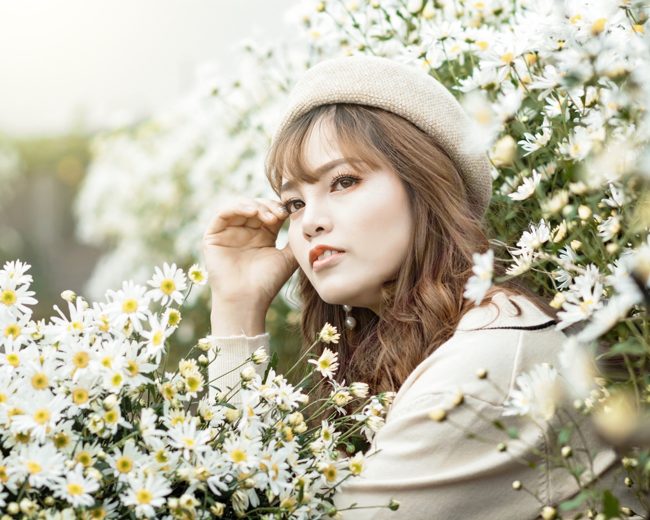 Девушка азиатка сидит в белых цветах ромашки 