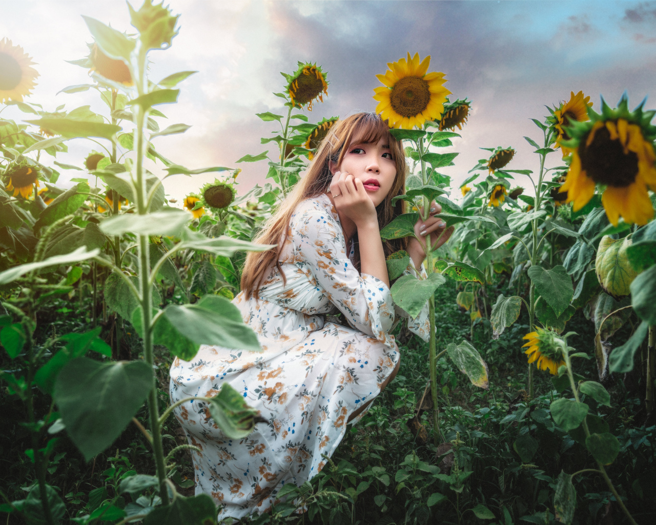 Красивая девушка азиатка на поле с подсолнухами 