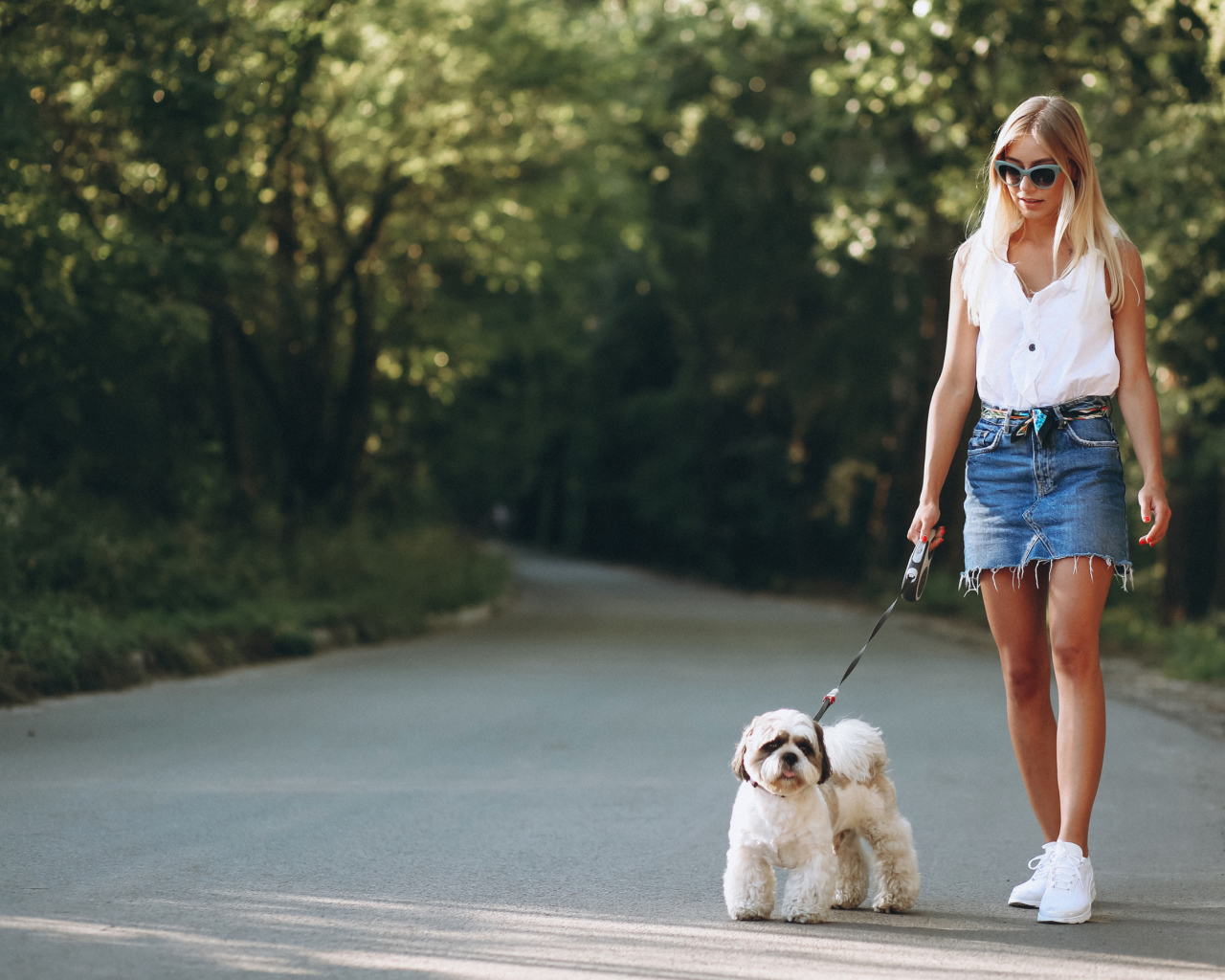 Красивая блондинка идет по дороге с собакой