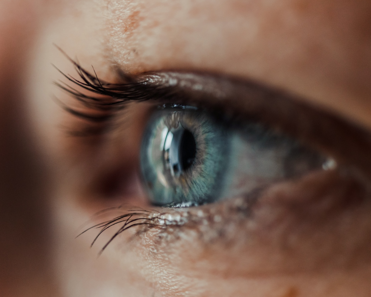 Красивый голубой глаз девушки крупным планом