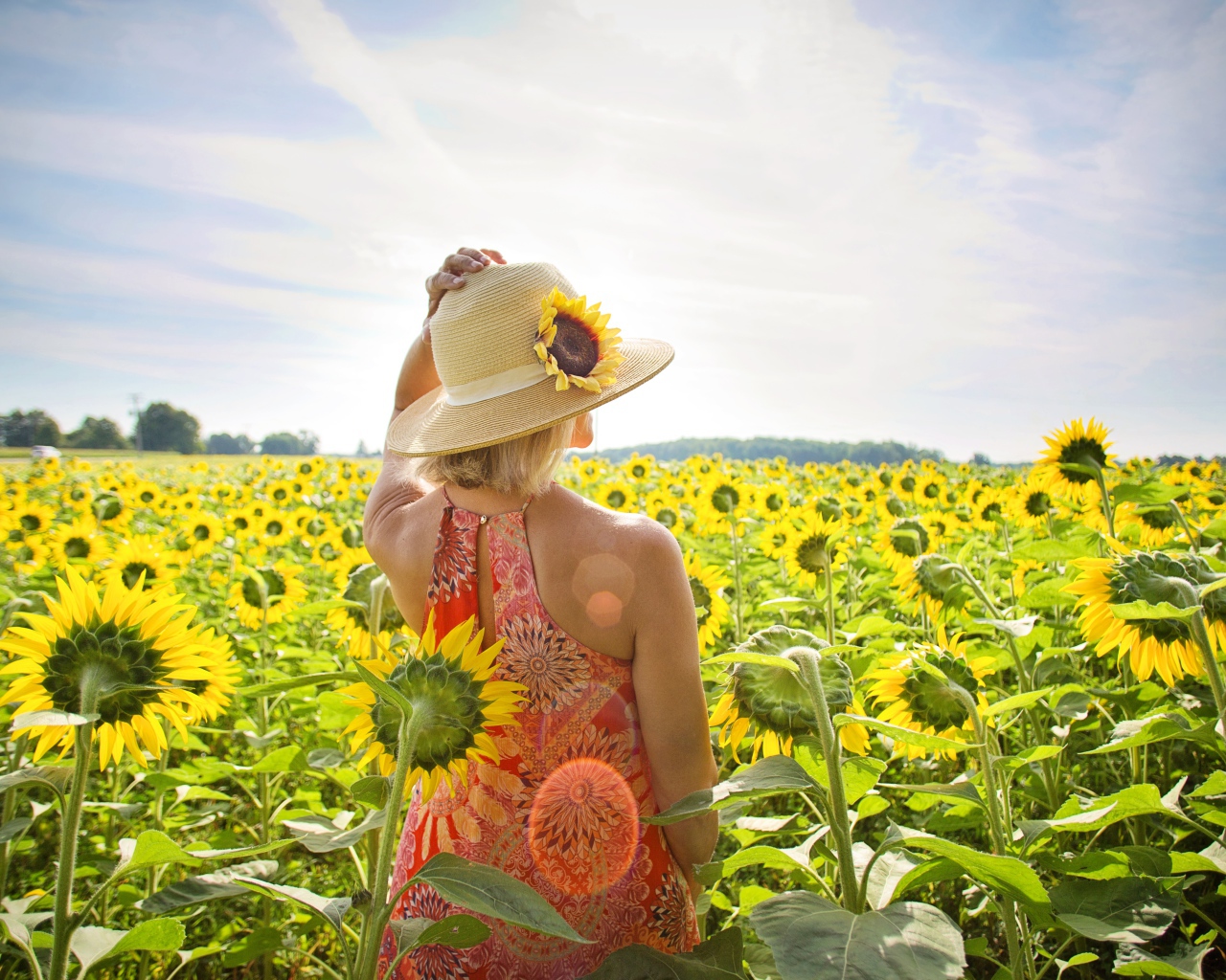 Красивая девушка в шляпке на поле с подсолнухами летом