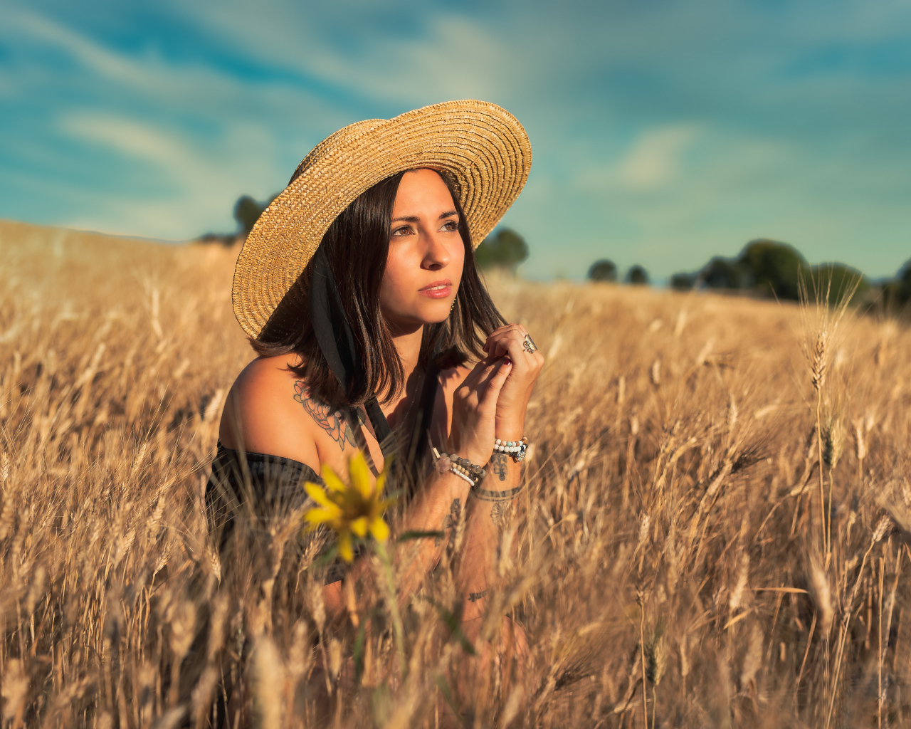 Красивая девушка в шляпе сидит на поле с пшеницей