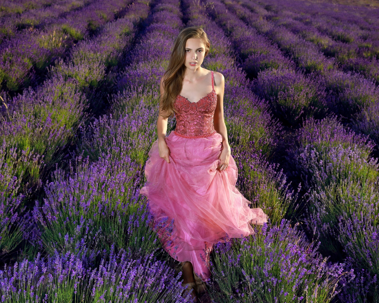Красивая девушка в розовом платье на лавандовом поле 