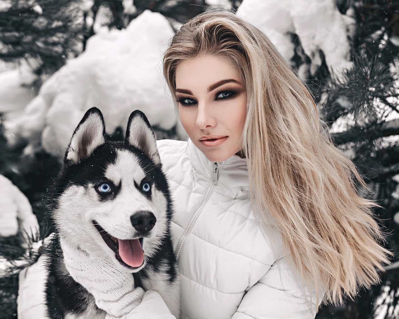 Красивая девушка с хаски у заснеженной ели