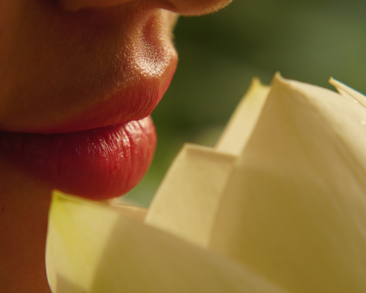 Красивые губы девушки с цветком