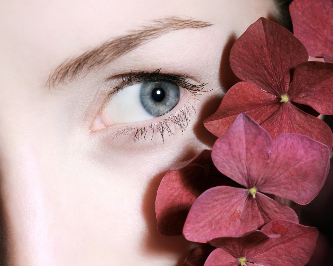 Глаз красивой девушки с красными цветами