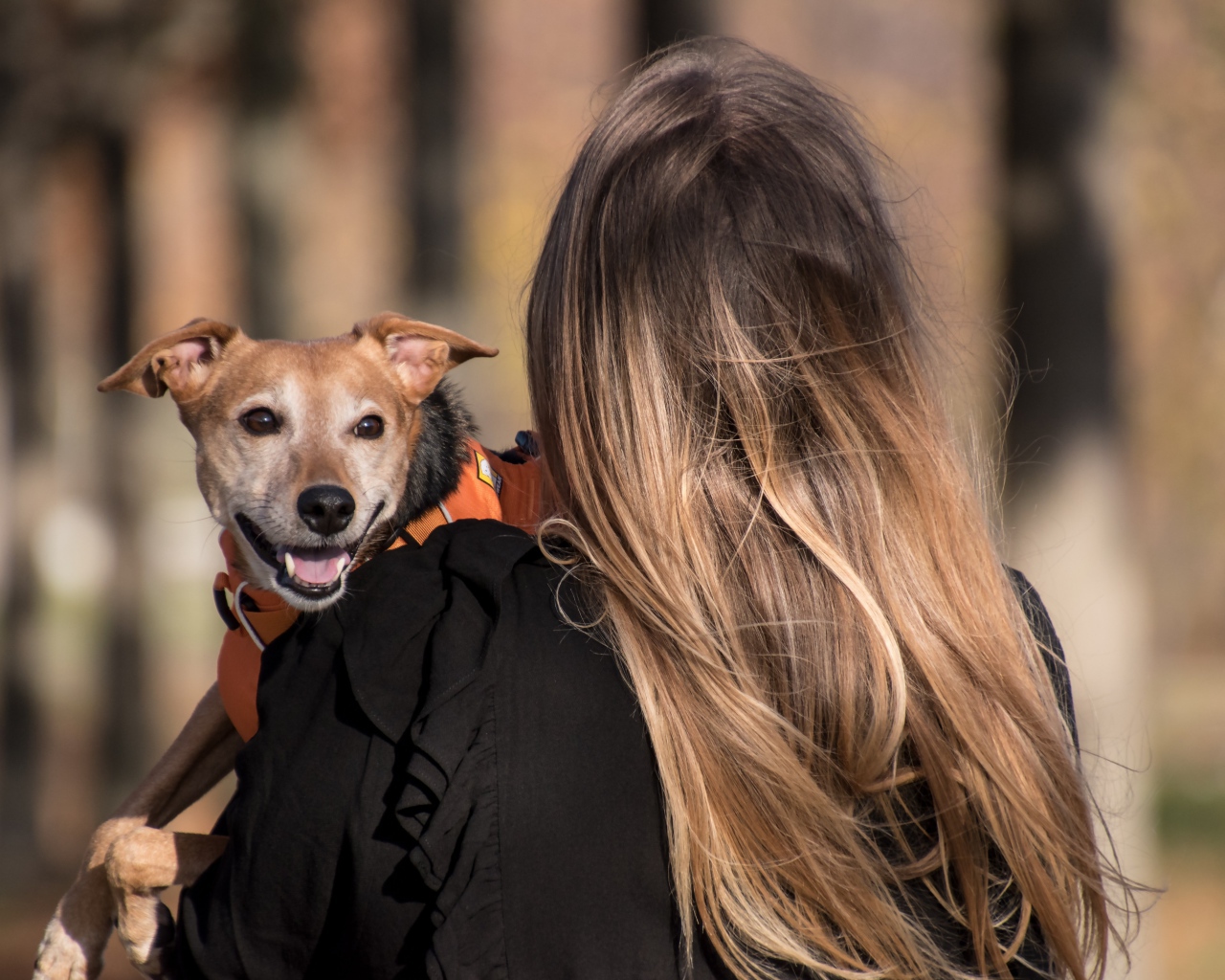 Девушка несет собаку на руках 
