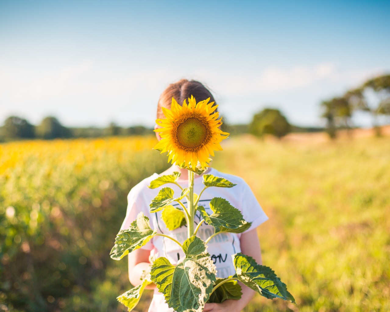 Девушка прячется за цветком подсолнуха летом