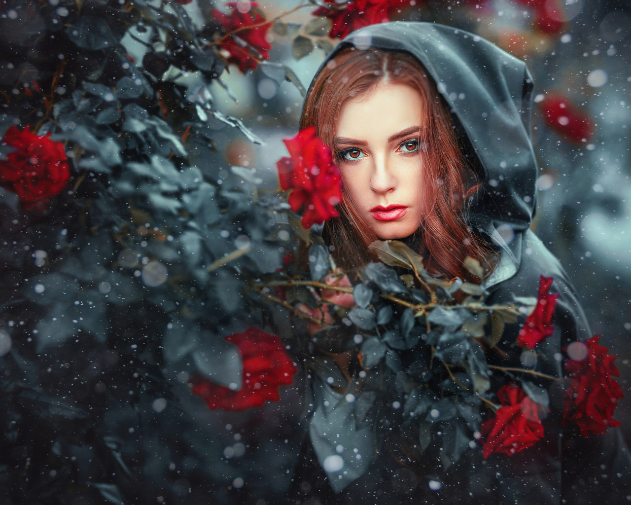 Девушка в черном плаще у  куста роз 