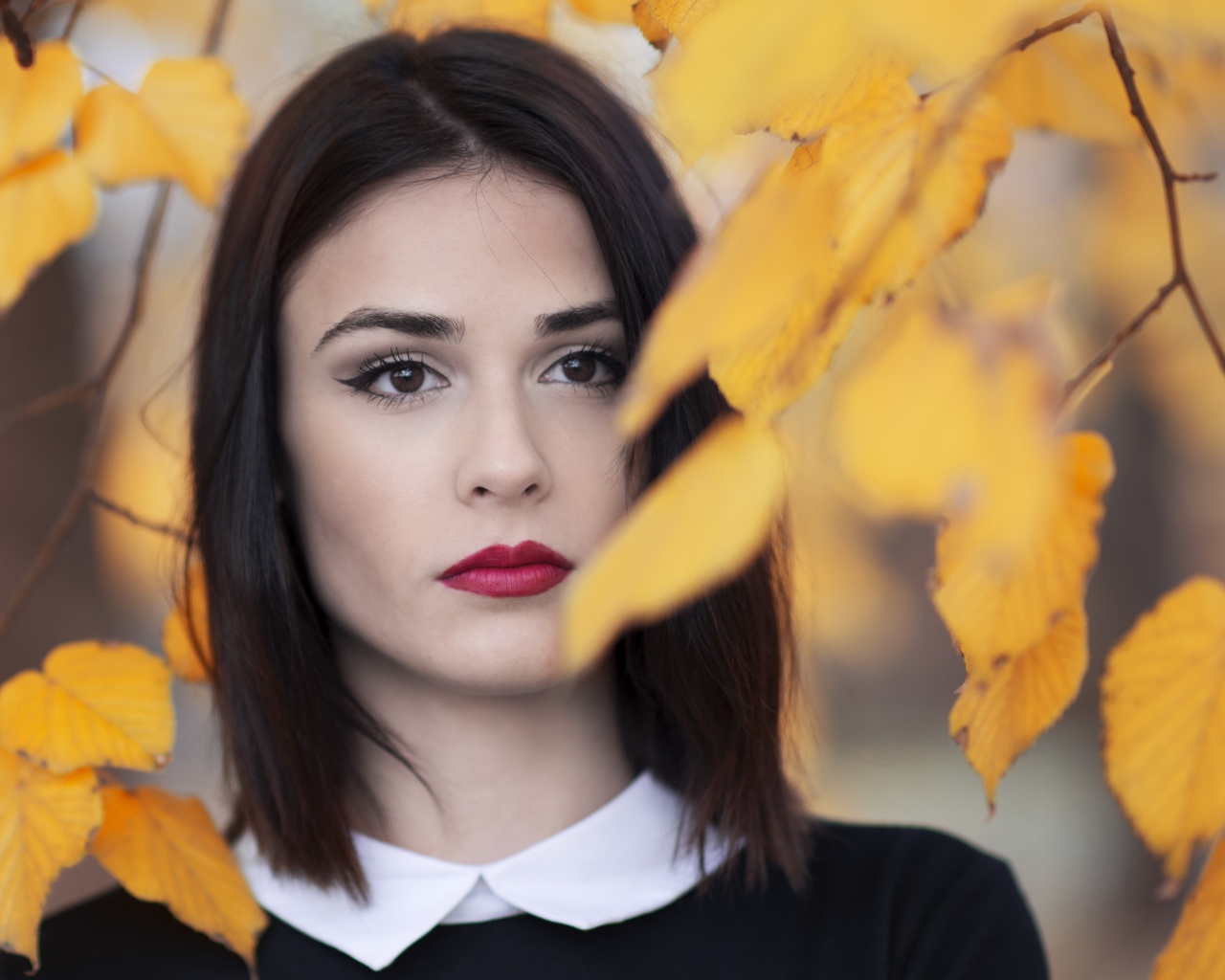 Девушка с красными губами у ветки с желтыми листьями