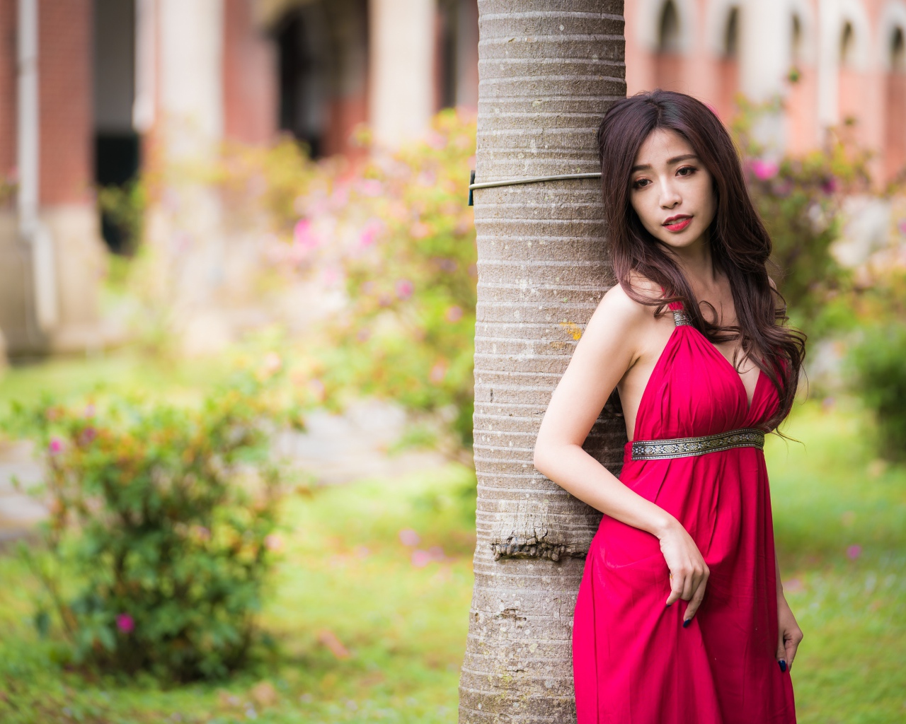 Стройная азиатка в красном платье у дерева 