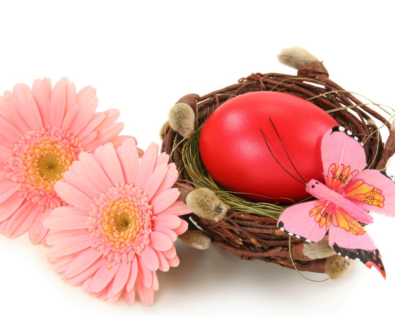 Яйцо в гнезде с розовыми герберами на белом фоне на Пасху