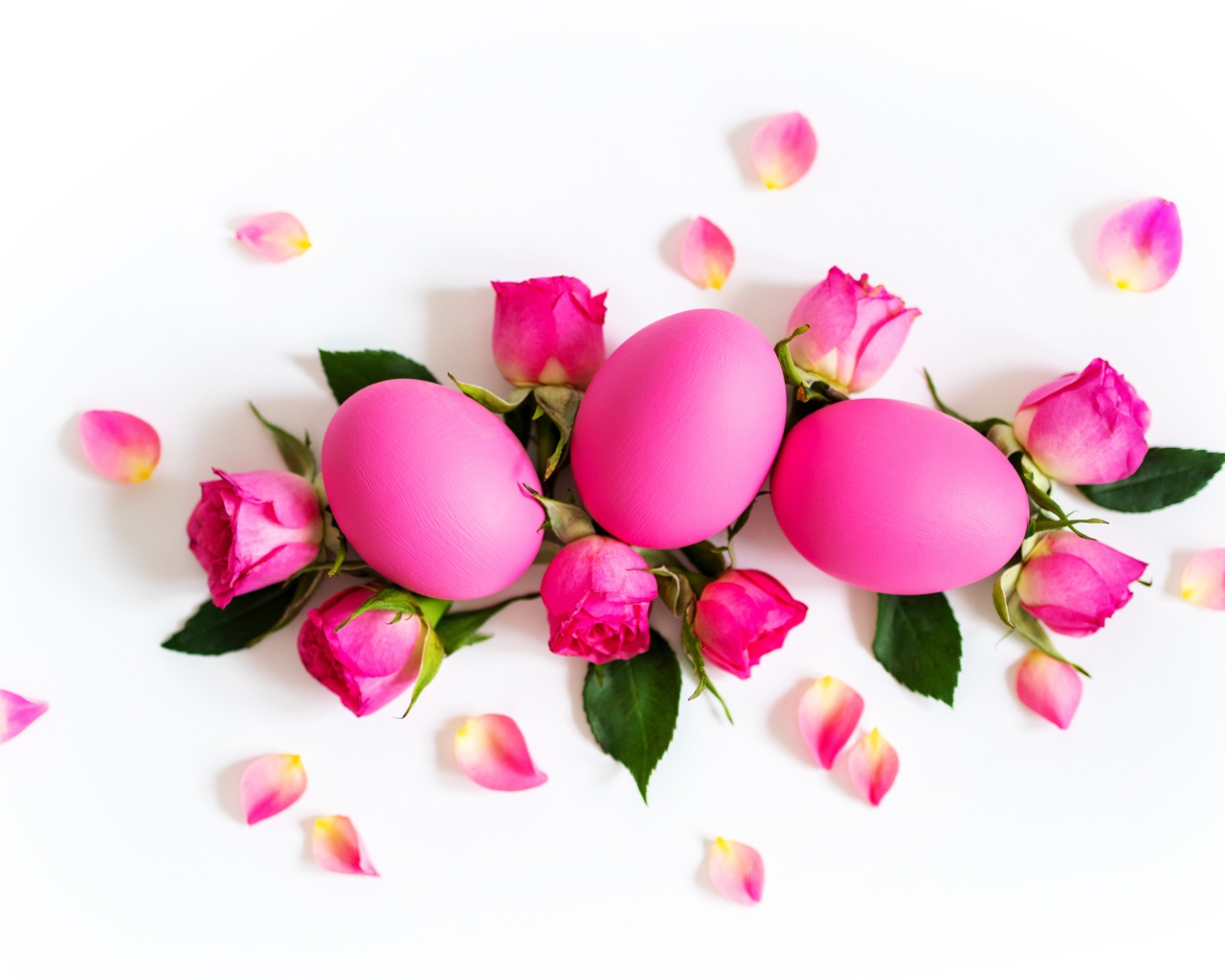 Розовые крашеные яйца с розами на белом фоне на Пасху