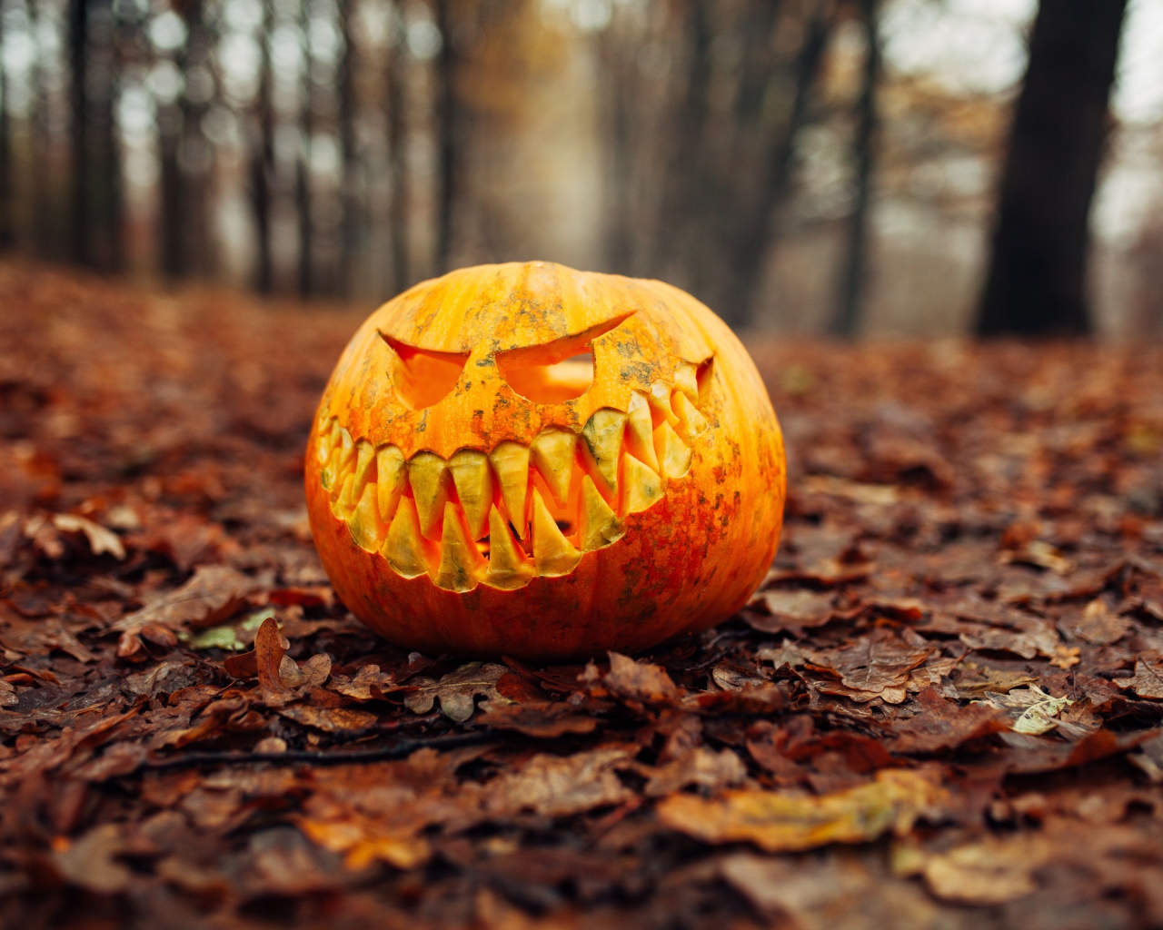 Злобная тыква в лесу на листве на праздник Хэллоуин