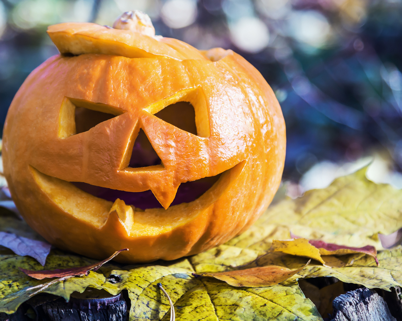 Тыква на Хэллоуин стоит на листке