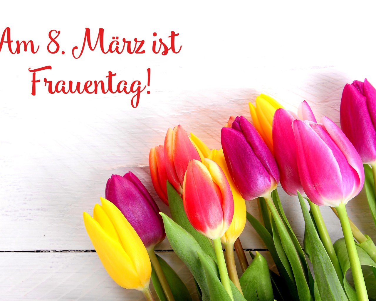 Красивый букет  тюльпанов на Международный женский день 8 марта