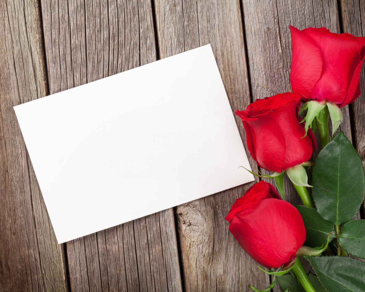 Три красные розы и лист бумаги, шаблон поздравительной открытки