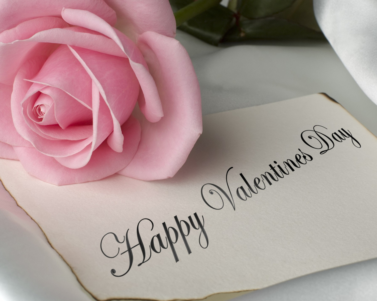 Розовая роза и открытка на День Святого Валентина 