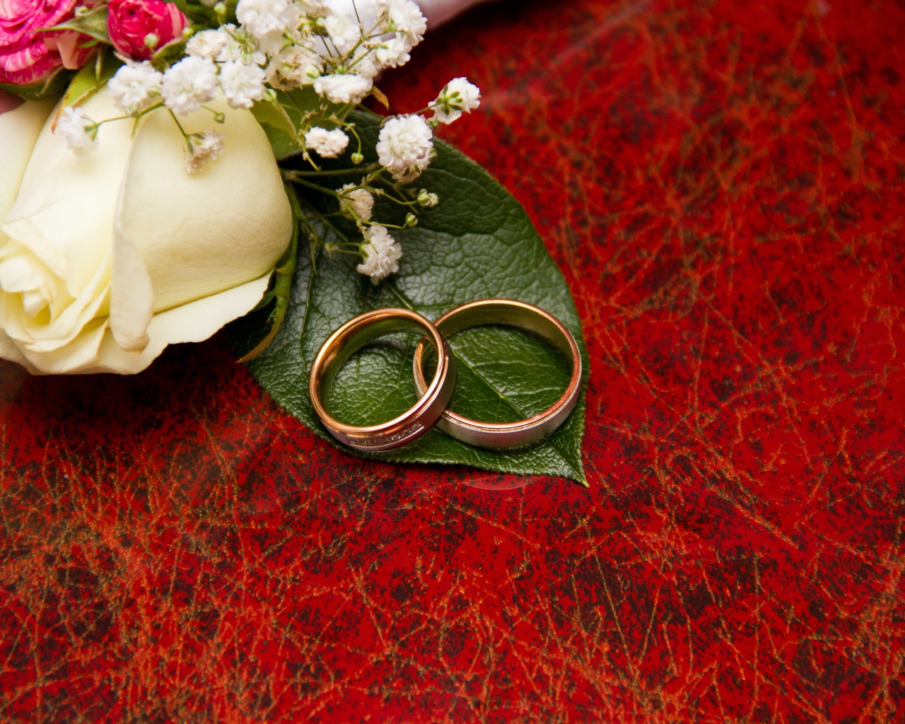 Gold wedding rings on a red background