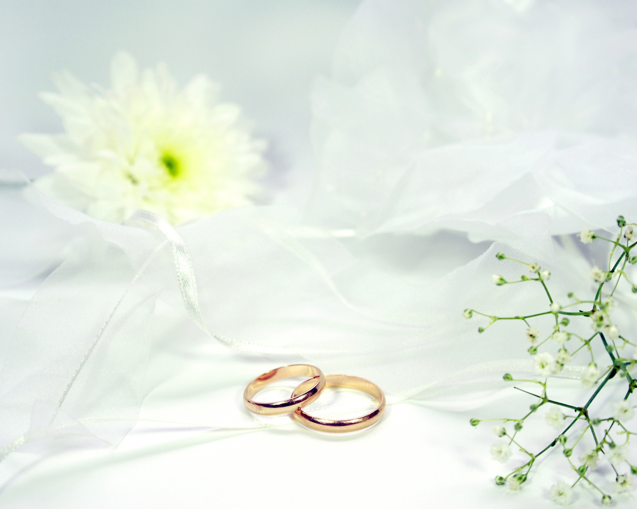 Два золотых обручальных кольца на белом фоне с цветами